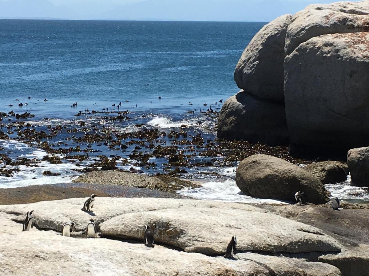 Dream A Little Apartment Simon's Town Bagian luar foto